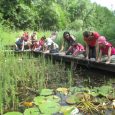 Le programme trimestriel du secteur Adultes et Familles est consultable  dans la rubrique (Adultes Familles) Les sorties proposées :  Au Verger […]